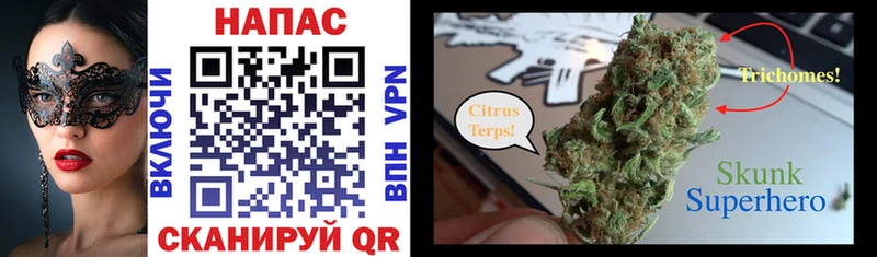 Шишки марихуана Bruce Banner  Купить  Дно 